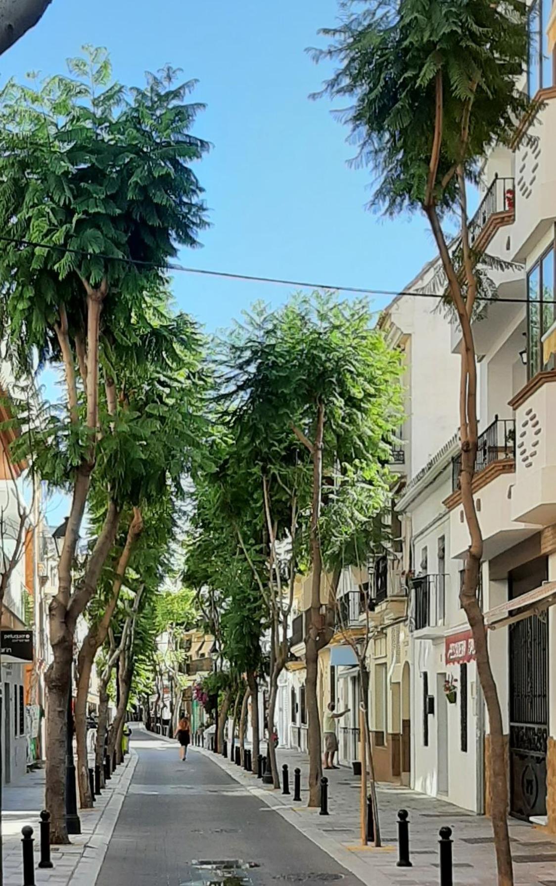 Apartment Las Salinas Boliches Fuengirola Eksteriør bilde